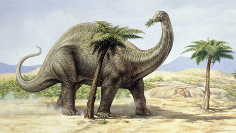 Сколько в среднем весил бронтозавр