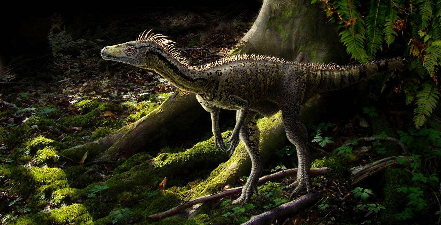 У какого динозавра 500. Эораптор динозавр. Eoraptor Lunensis. Эораптор Триасового периода. Эораптор динозавры Триасового периода.