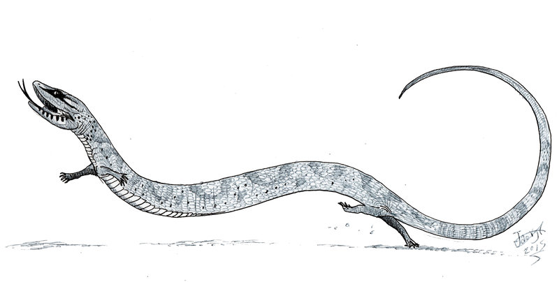 Эволюция змеи. Tetrapodophis amplectus. Тетраподофис змея. Предок змеи.