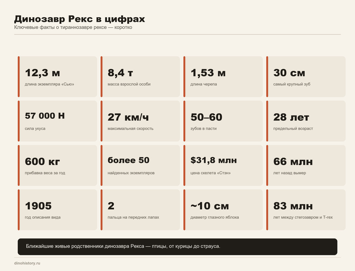 Факты о тираннозавре рексе Динозавр Рекс в цифрах — 16 ключевых фактов о тираннозавре