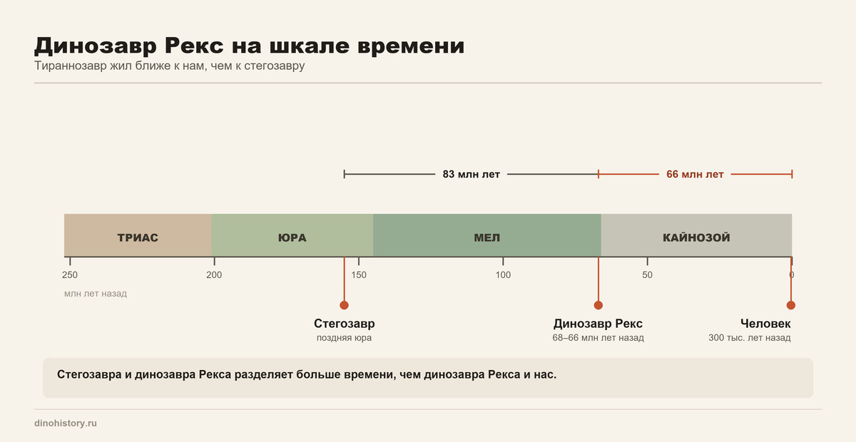 Хронология: когда жил динозавр Рекс Динозавр Рекс на шкале времени — стегозавр, тираннозавр и человек