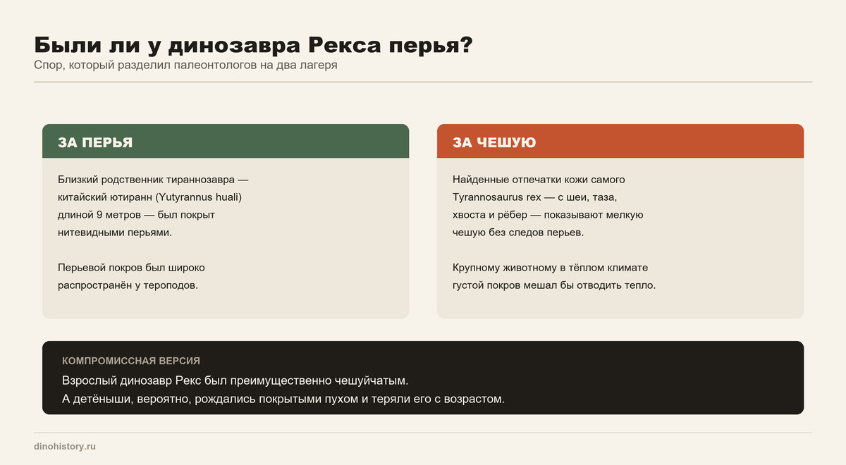 Перья или чешуя у тираннозавра рекса Перья или чешуя у динозавра Рекса — сравнение научных доводов