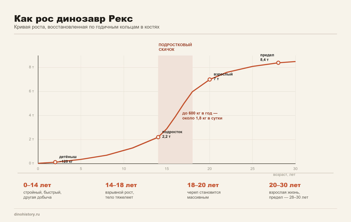 Кривая роста тираннозавра рекса График роста динозавра Рекса — масса тела по годам жизни