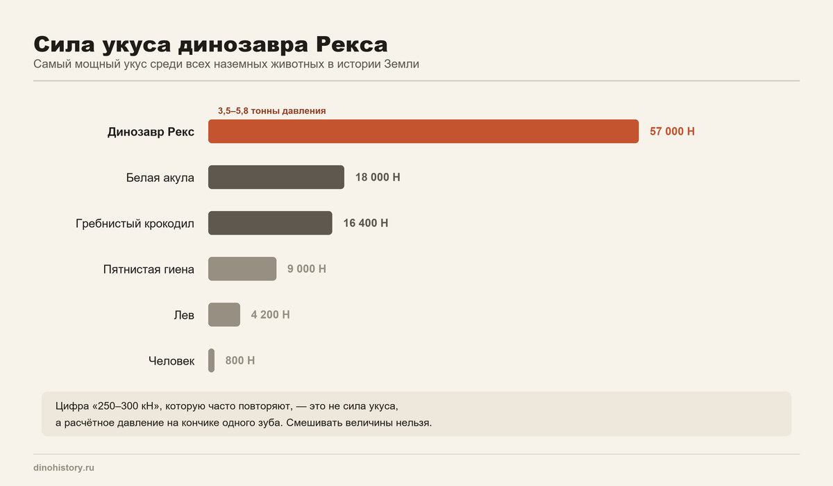 Сила укуса тираннозавра рекса Сила укуса динозавра Рекса в сравнении с крокодилом, акулой и львом