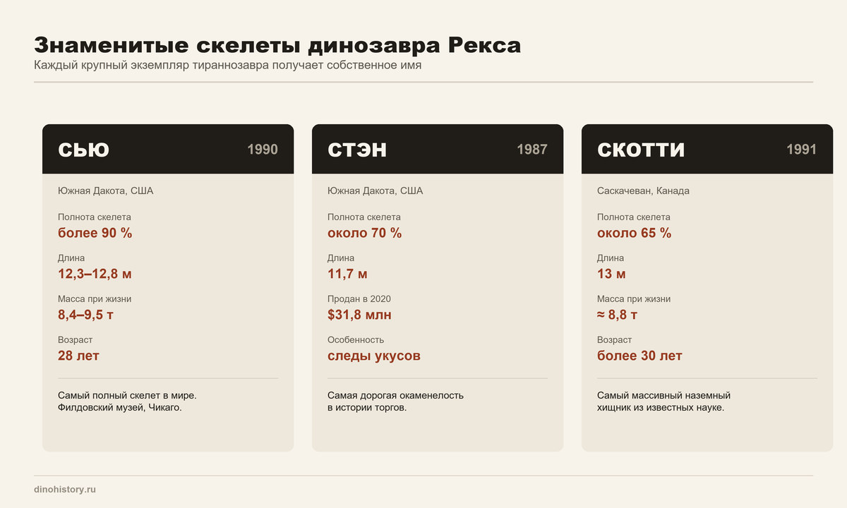 Скелеты тираннозавра рекса Сью, Стэн, Скотти Знаменитые скелеты динозавра Рекса — Сью, Стэн и Скотти