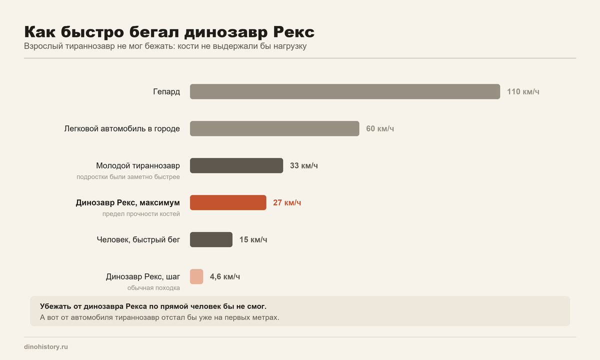 Скорость тираннозавра рекса Скорость динозавра Рекса в сравнении с человеком и автомобилем