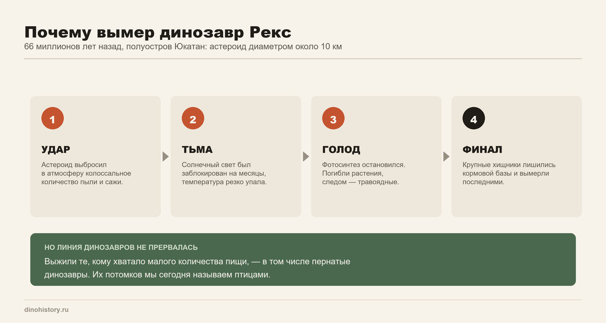 Вымирание тираннозавра рекса Почему вымер динозавр Рекс — цепочка событий после падения астероида